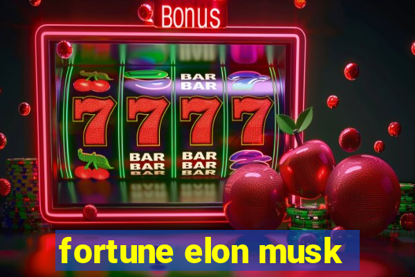 fortune elon musk