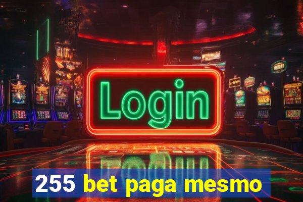 255 bet paga mesmo