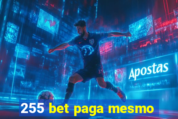 255 bet paga mesmo