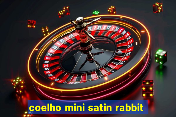 coelho mini satin rabbit