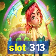 slot 313