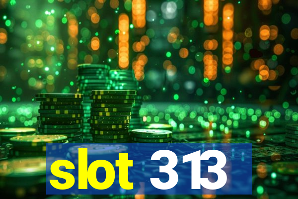 slot 313