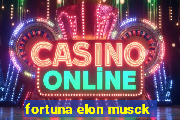 fortuna elon musck