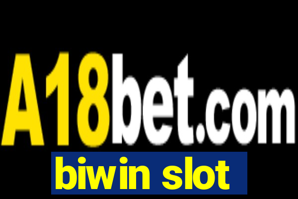 biwin slot