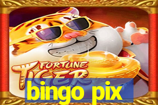 bingo pix