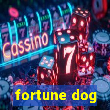 fortune dog